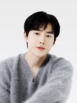 수호