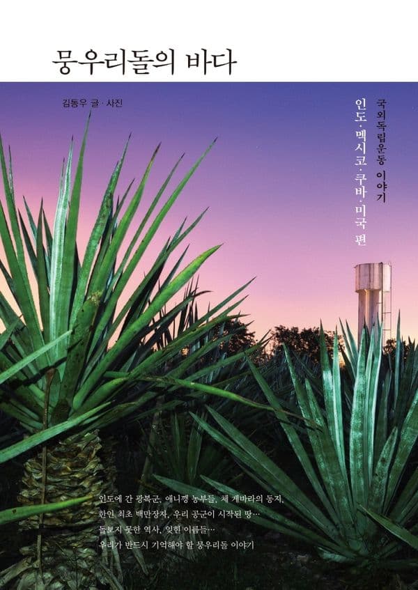 뭉우리돌의 바다 - 국외독립운동 이야기 : 인도, 멕시코, 쿠바, 미국 편